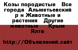 Козы породистые - Все города, Альметьевский р-н Животные и растения » Другие животные   . Крым,Ялта